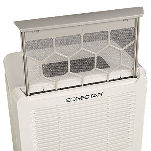 Filter in an edgestar dehumidifier to lower the relative humidity
