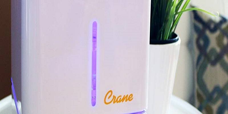 Why Trust Crane Humidifiers in Your Home
