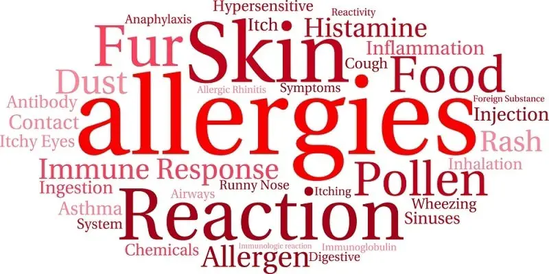 What are Allergies?