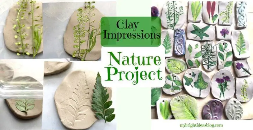 Clay-Impressions-Nature-Kids-Craft-1024x526