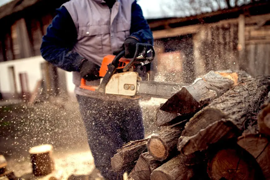 Cutting wood with chainsaw at backyard, lumberjack work professi