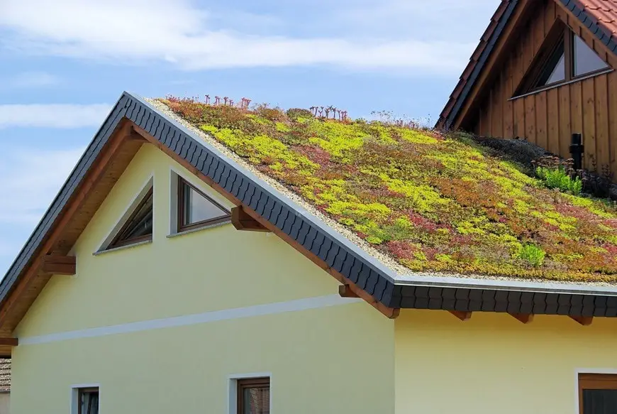 Gründach - green roof 04