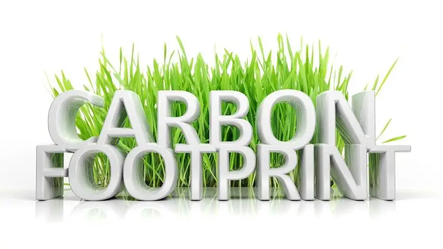Green grass with Carbon footprint 3D text isolated