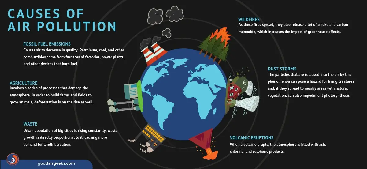 What Are The Major Causes Of Environmental Pollution Class 11